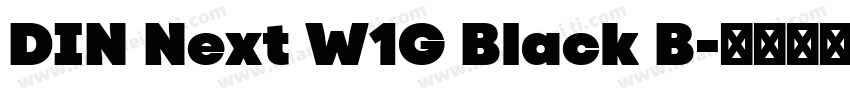 DIN Next W1G Black B字体转换